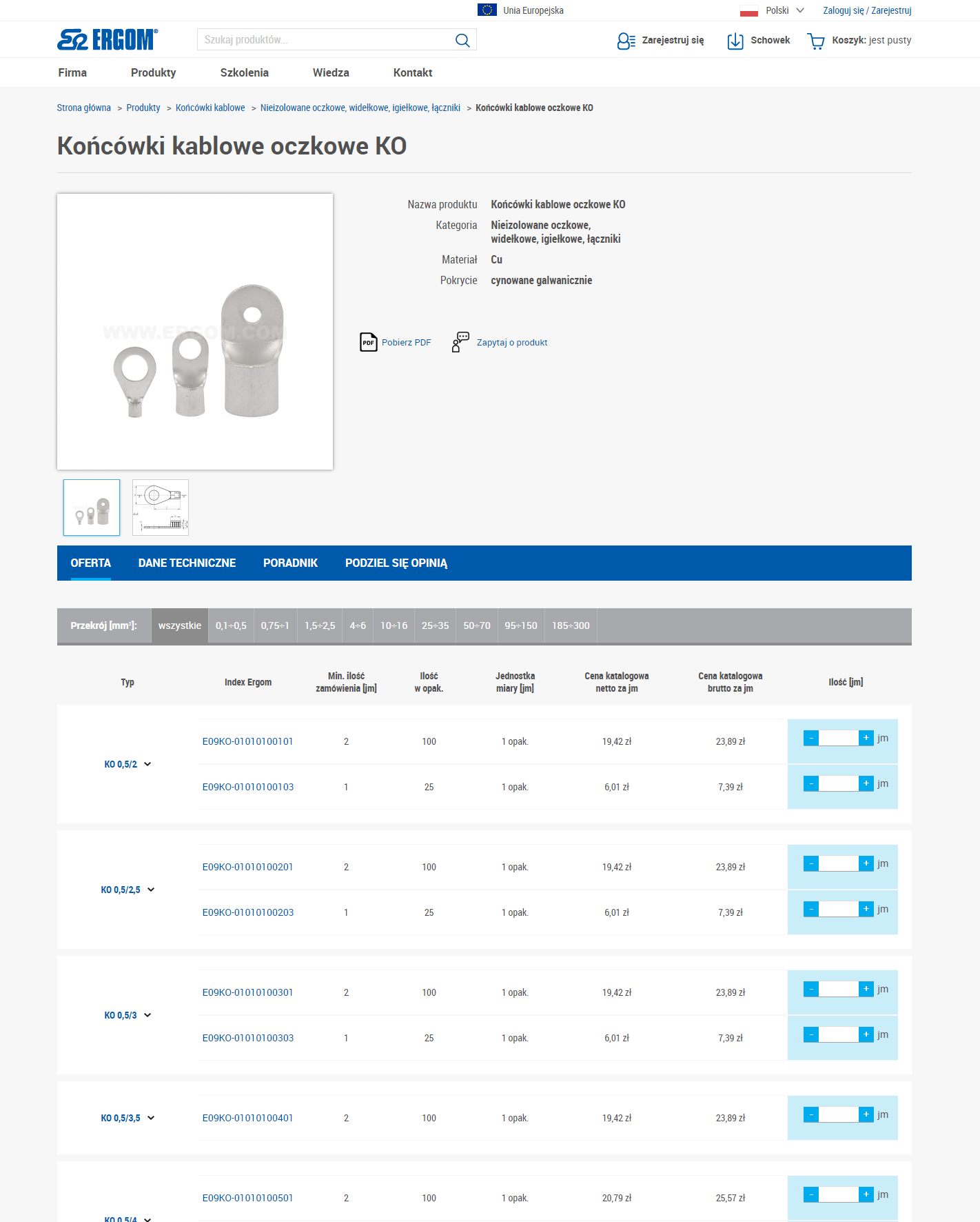 Produktowy serwis www - lista rozdziałów