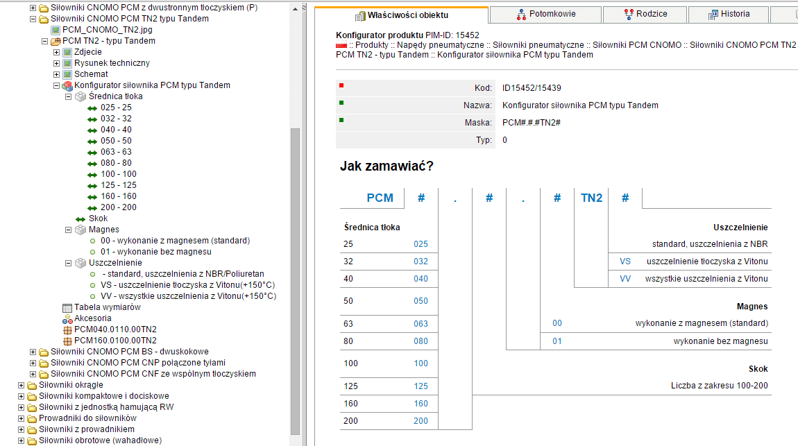 Produktowy serwis www - lista rozdziałów