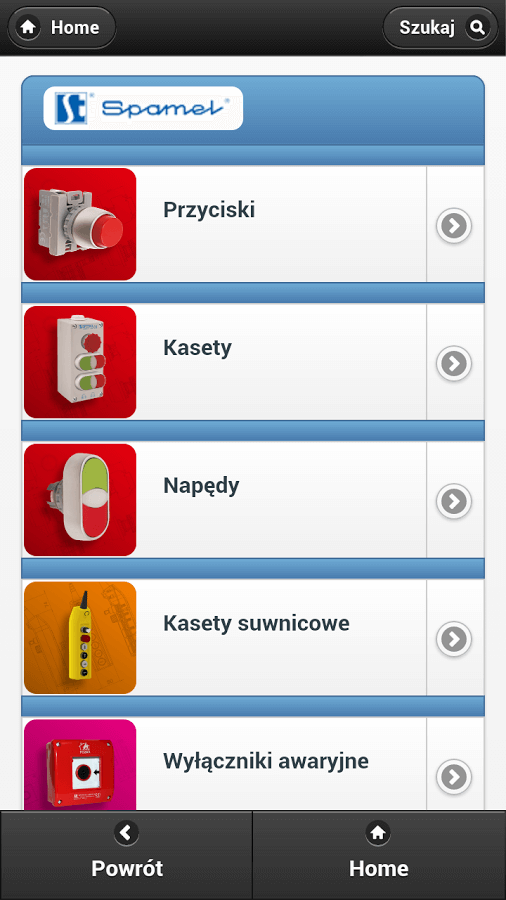 Produktowy serwis www - lista rozdziałów