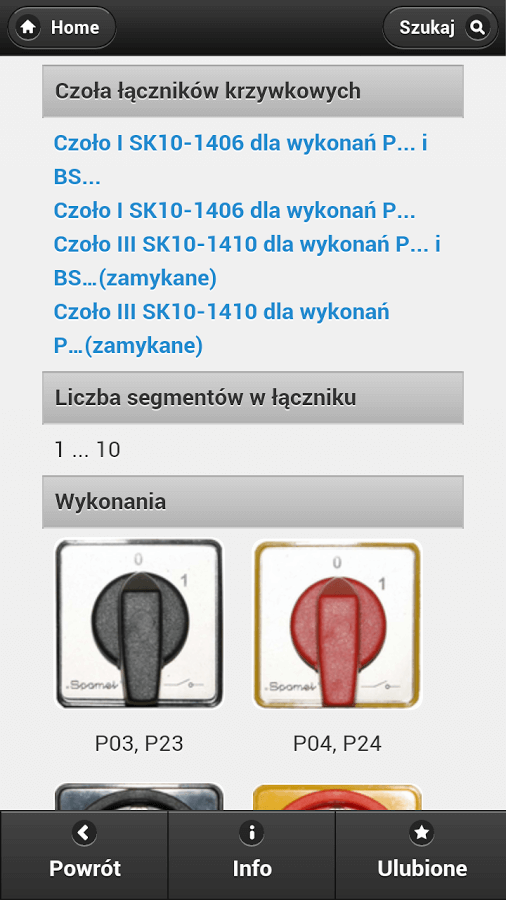 Produktowy serwis www - lista rozdziałów